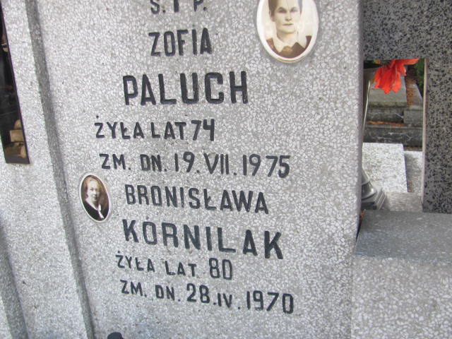  Paluch 1903 Siedlce - Grobonet - Wyszukiwarka osób pochowanych