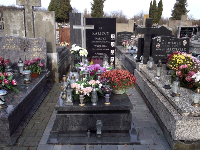  Kalicki 1950 Siedlce - Grobonet - Wyszukiwarka osób pochowanych