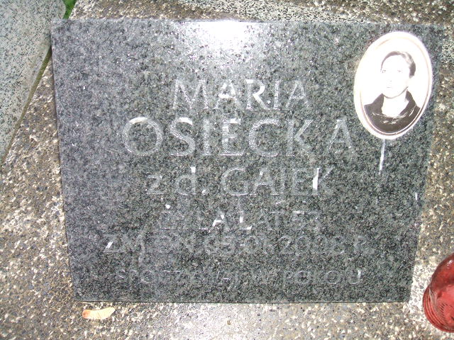  Wachowicz 1894 Siedlce - Grobonet - Wyszukiwarka osób pochowanych