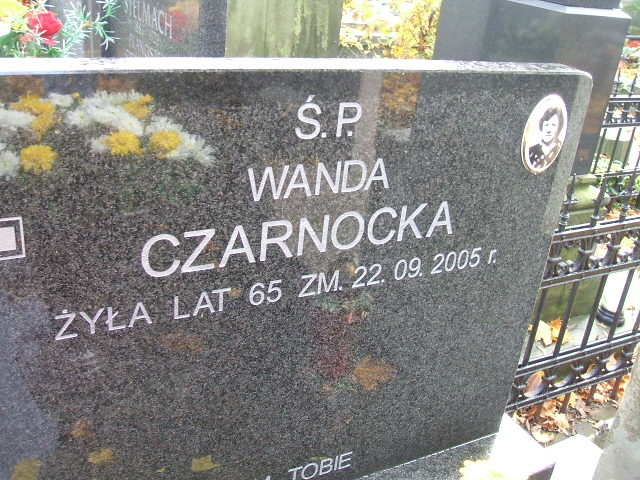  Czarnocki 1894 Siedlce - Grobonet - Wyszukiwarka osób pochowanych