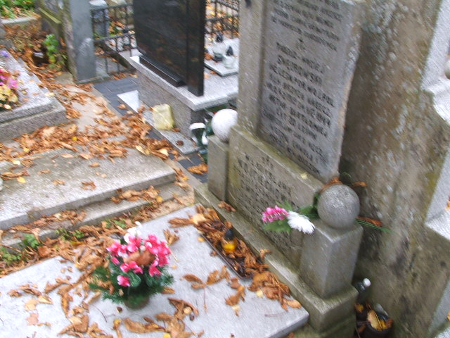  Wojciechowicz 1875 Siedlce - Grobonet - Wyszukiwarka osób pochowanych