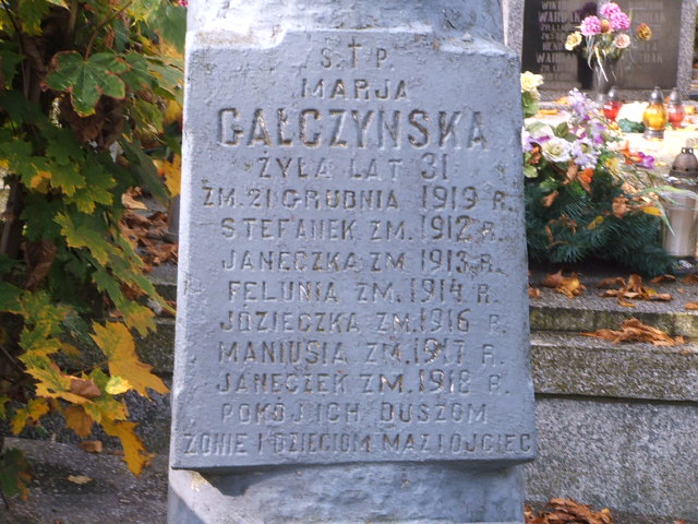  Wojciechowski 1989 Siedlce - Grobonet - Wyszukiwarka osób pochowanych