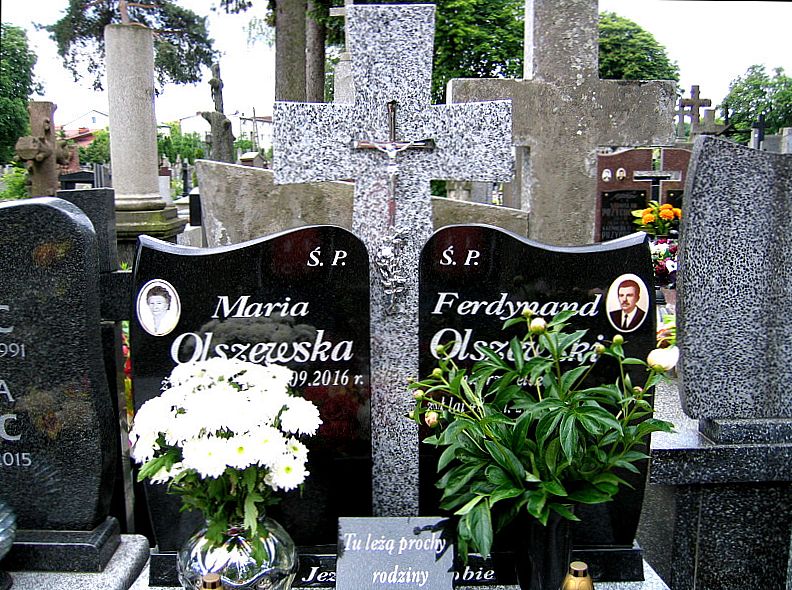  Olszewski 1936 Siedlce - Grobonet - Wyszukiwarka osób pochowanych