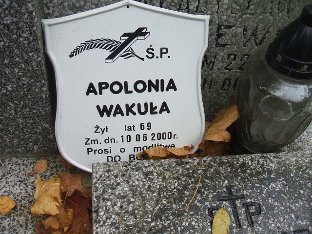 Wincenty Kanczewski 1896 Siedlce - Grobonet - Wyszukiwarka osób pochowanych