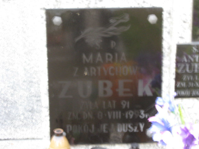  Zubek 1948 Siedlce - Grobonet - Wyszukiwarka osób pochowanych