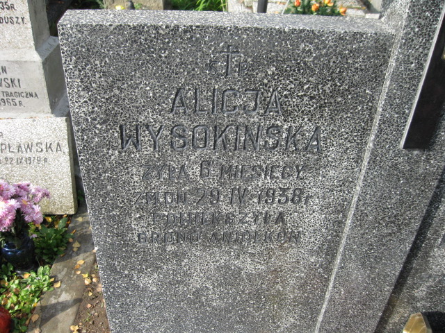  Wysokiński 1913 Siedlce - Grobonet - Wyszukiwarka osób pochowanych