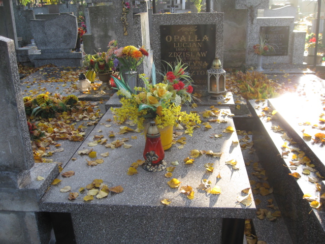  Opałła 1923 Siedlce - Grobonet - Wyszukiwarka osób pochowanych