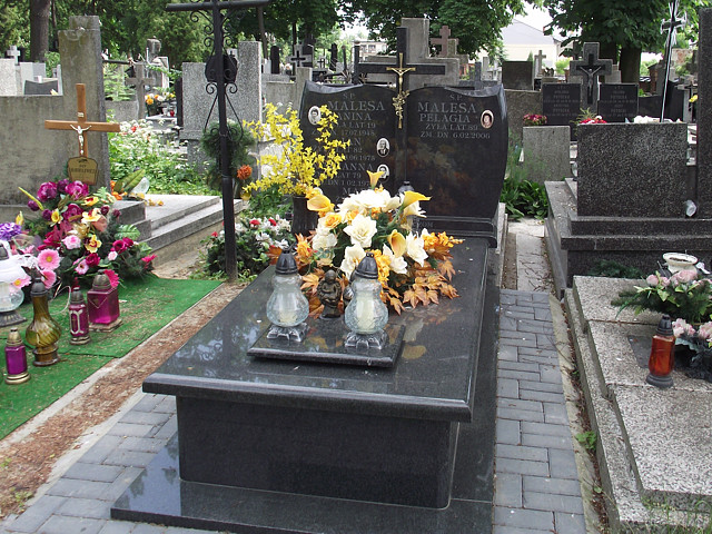 Malesa 1893 Siedlce - Grobonet - Wyszukiwarka osób pochowanych