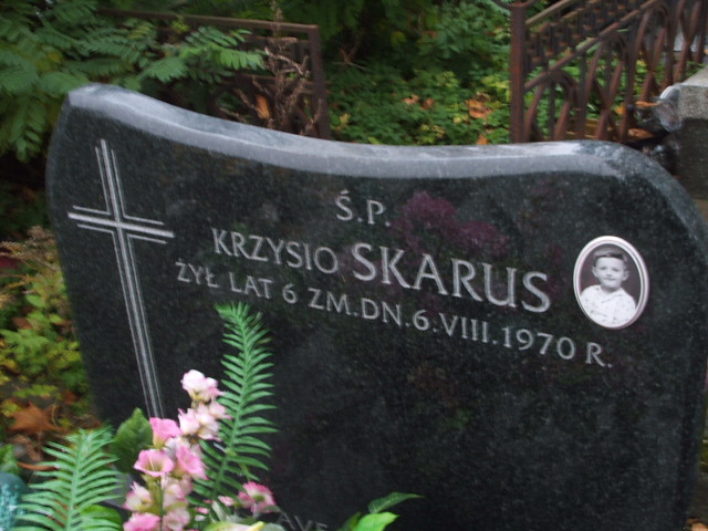  Skarus 1935 Siedlce - Grobonet - Wyszukiwarka osób pochowanych