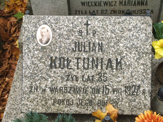  Kołtuniak 1895 Siedlce - Grobonet - Wyszukiwarka osób pochowanych