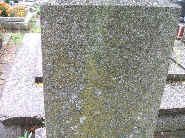  NN Siedlce - Grobonet - Wyszukiwarka osób pochowanych