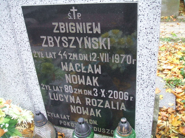  Jeliński Siedlce - Grobonet - Wyszukiwarka osób pochowanych