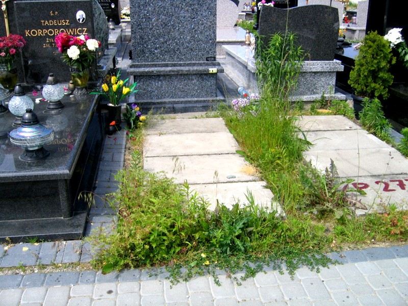  Rogulski Siedlce - Grobonet - Wyszukiwarka osób pochowanych