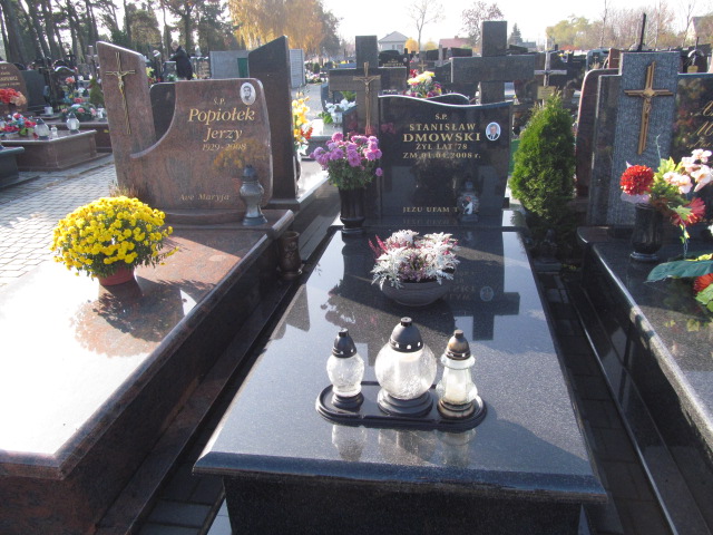 Grób Stanisław Dmowski