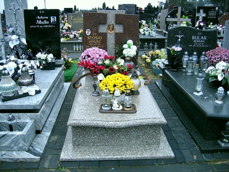  Stosio 1951 Siedlce - Grobonet - Wyszukiwarka osób pochowanych