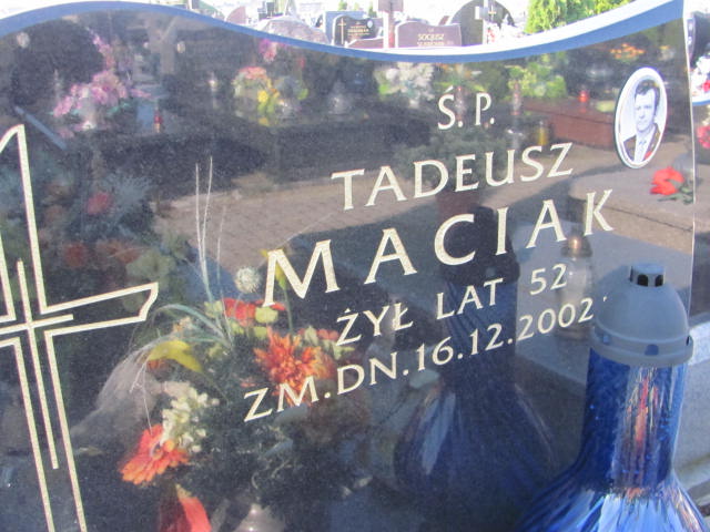  Maciak 1950 Siedlce - Grobonet - Wyszukiwarka osób pochowanych