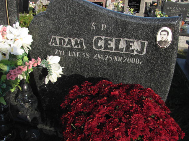 Adam Celej 1962 Siedlce - Grobonet - Wyszukiwarka osób pochowanych