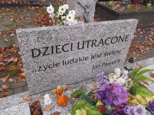  Dzieci Utracone - grób zb Siedlce - Grobonet - Wyszukiwarka osób pochowanych