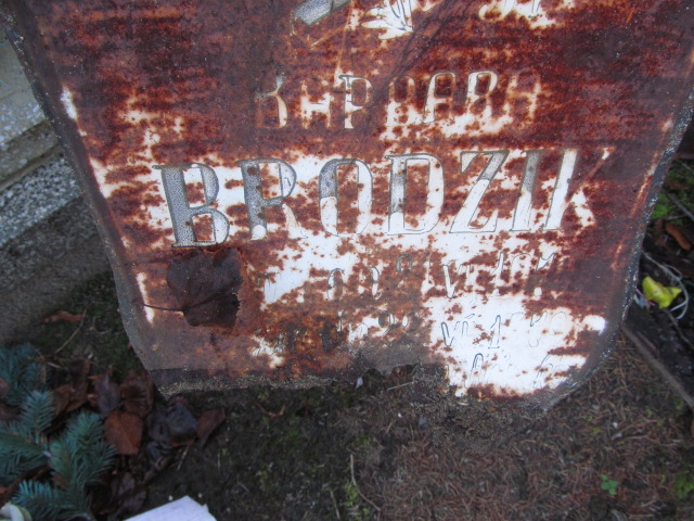  Brodzik Siedlce - Grobonet - Wyszukiwarka osób pochowanych