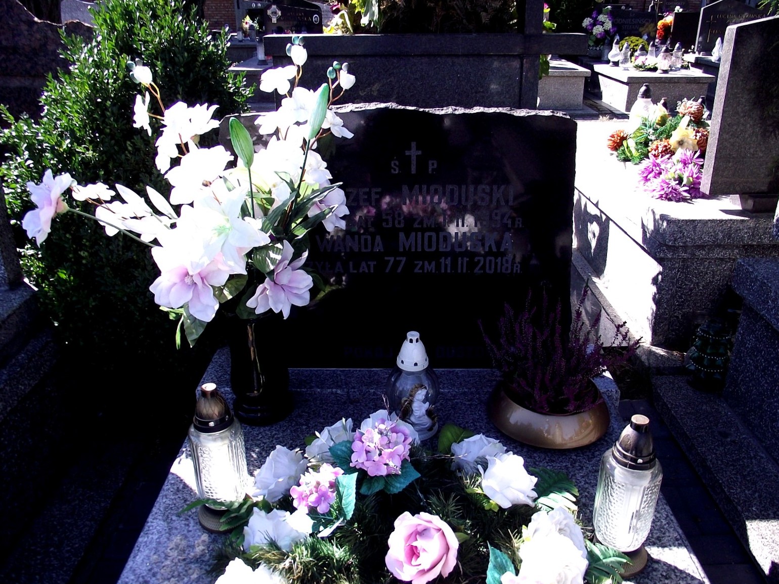 Grób Wanda Mioduska