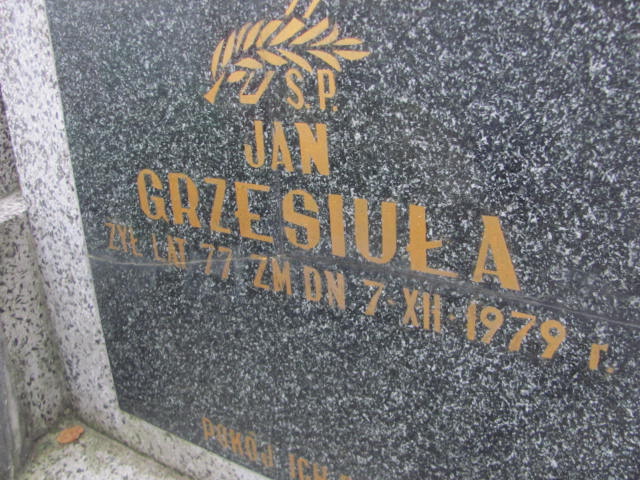  Grzesiuła 1907 Siedlce - Grobonet - Wyszukiwarka osób pochowanych