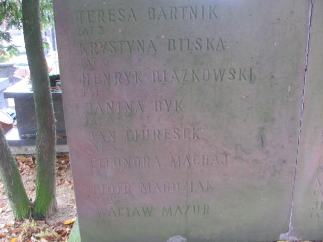  Pomnik Siedlce - Grobonet - Wyszukiwarka osób pochowanych