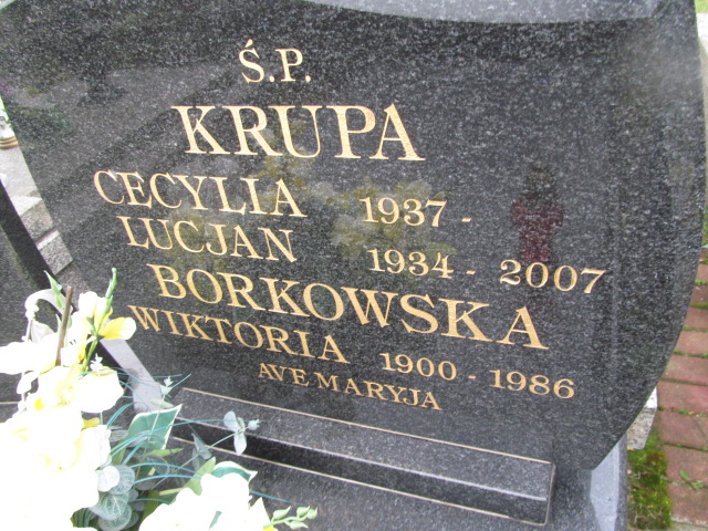  Borkowska 1900 Siedlce - Grobonet - Wyszukiwarka osób pochowanych